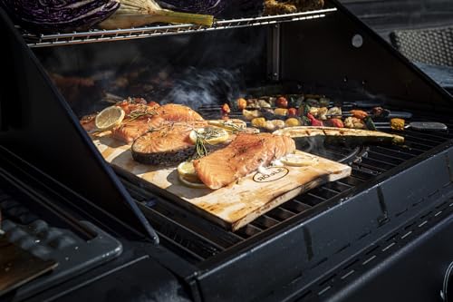 r-sle-allflame-hero-6-barbecue-gaz-6-br-leurs-primezone-800-c image 6
