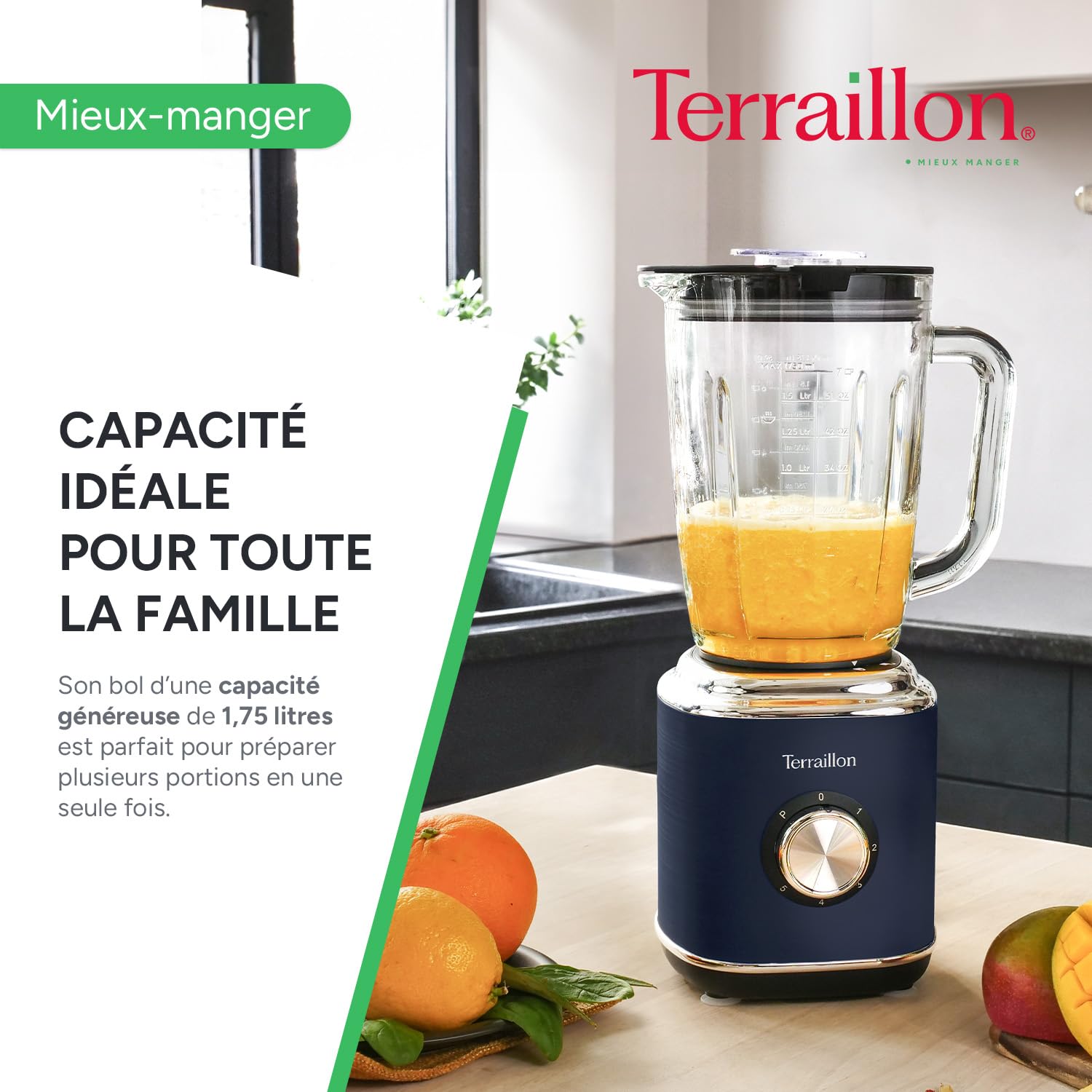 terraillon-new-moon-blender-lectrique-1-75l-600w-bleu image 4