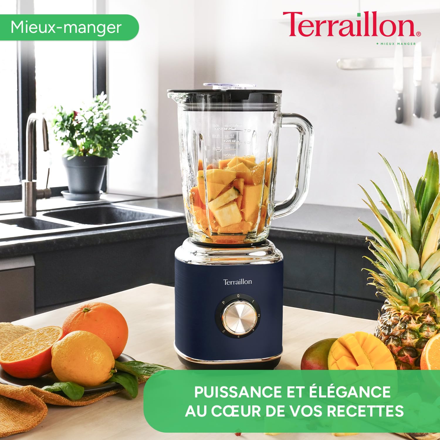 terraillon-new-moon-blender-lectrique-1-75l-600w-bleu image 2